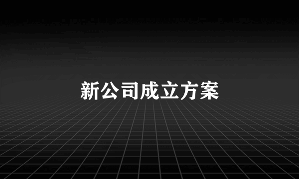 新公司成立方案