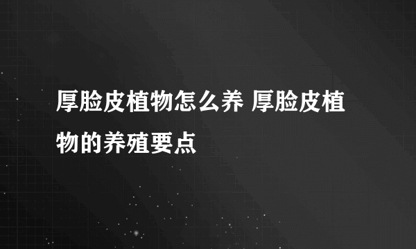 厚脸皮植物怎么养 厚脸皮植物的养殖要点