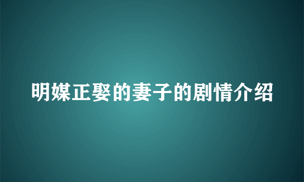 明媒正娶的妻子的剧情介绍