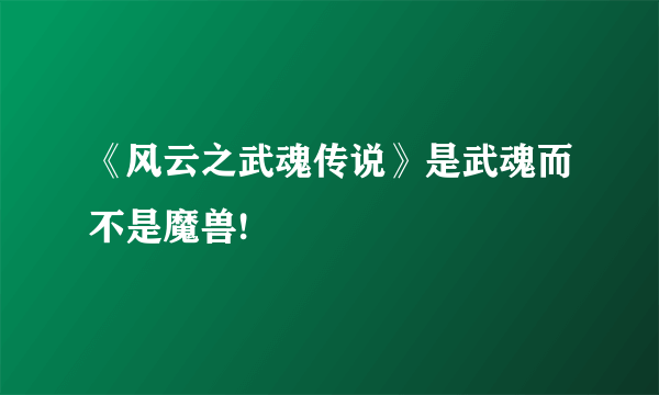 《风云之武魂传说》是武魂而不是魔兽!