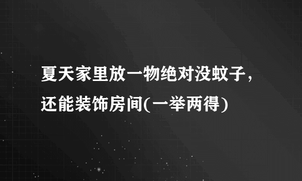 夏天家里放一物绝对没蚊子，还能装饰房间(一举两得) 