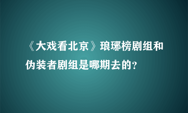 《大戏看北京》琅琊榜剧组和伪装者剧组是哪期去的？