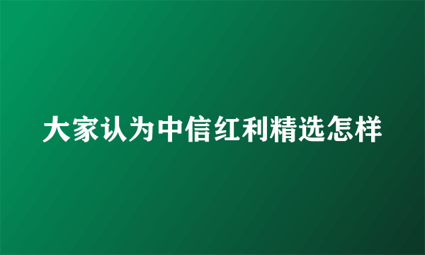 大家认为中信红利精选怎样