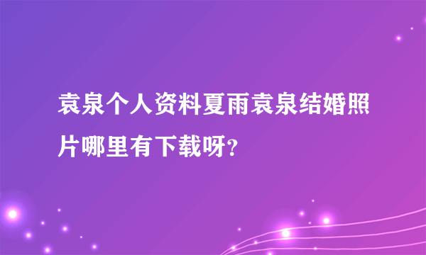 袁泉个人资料夏雨袁泉结婚照片哪里有下载呀？