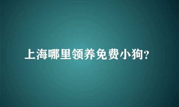 上海哪里领养免费小狗？