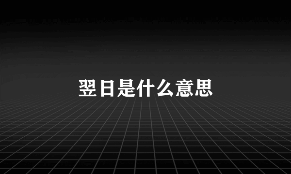 翌日是什么意思