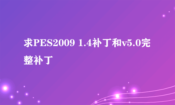 求PES2009 1.4补丁和v5.0完整补丁