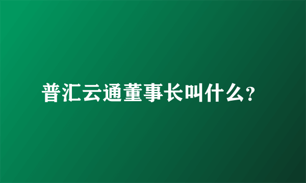 普汇云通董事长叫什么？