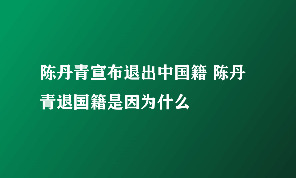 陈丹青宣布退出中国籍 陈丹青退国籍是因为什么