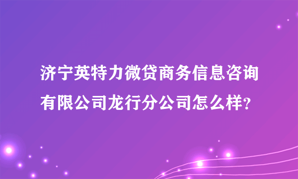 济宁英特力微贷商务信息咨询有限公司龙行分公司怎么样？