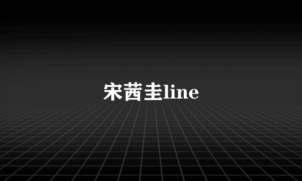 宋茜圭line