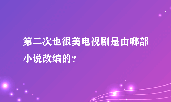 第二次也很美电视剧是由哪部小说改编的？