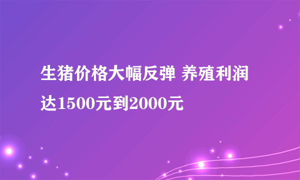 生猪价格大幅反弹 养殖利润达1500元到2000元