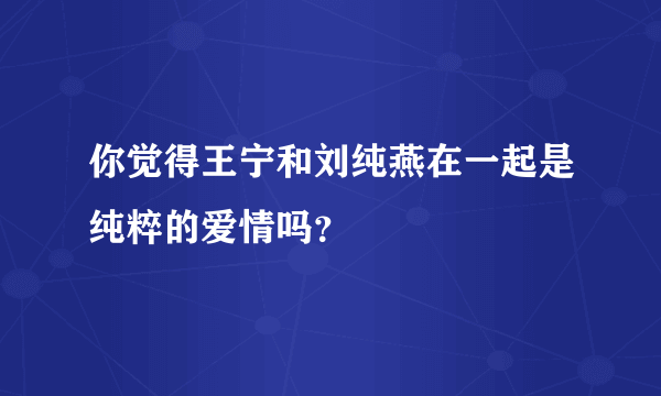 你觉得王宁和刘纯燕在一起是纯粹的爱情吗？