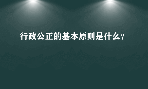 行政公正的基本原则是什么？