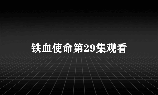 铁血使命第29集观看