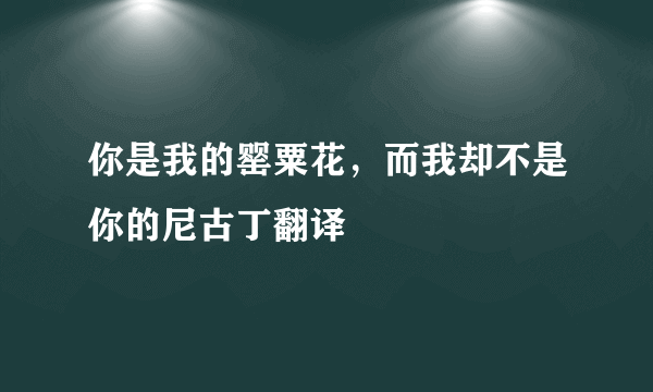 你是我的罂粟花，而我却不是你的尼古丁翻译