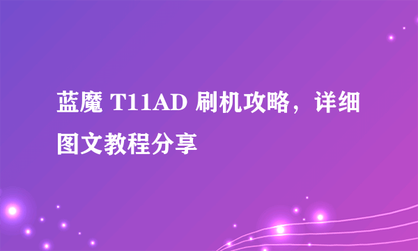 蓝魔 T11AD 刷机攻略，详细图文教程分享