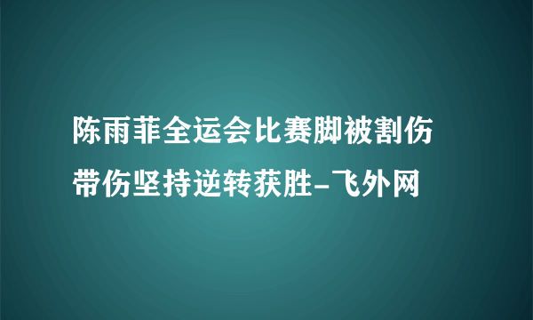 陈雨菲全运会比赛脚被割伤 带伤坚持逆转获胜-飞外网