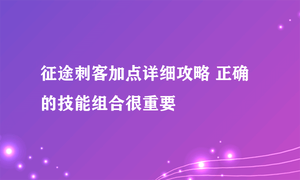 征途刺客加点详细攻略 正确的技能组合很重要