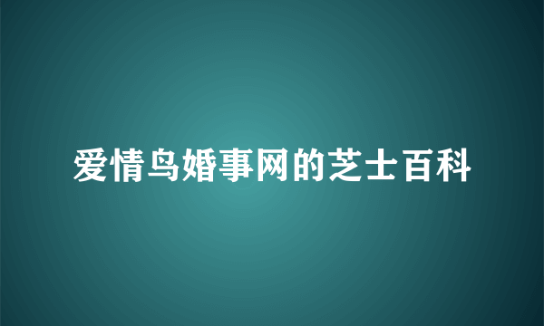 爱情鸟婚事网的芝士百科