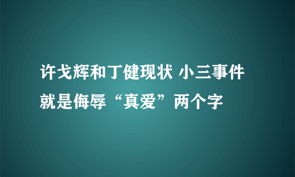 许戈辉和丁健现状 小三事件就是侮辱“真爱”两个字