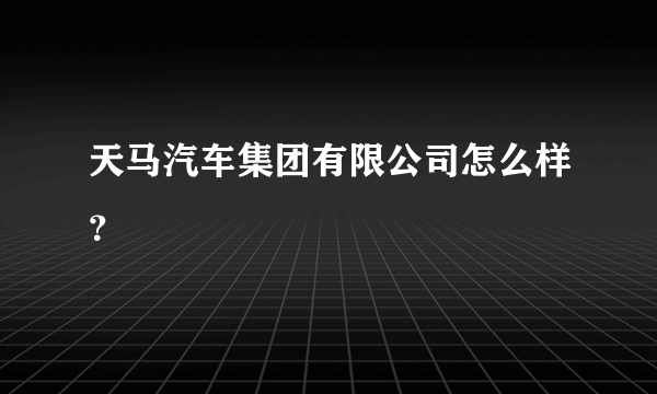 天马汽车集团有限公司怎么样？