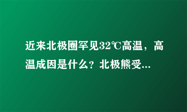 近来北极圈罕见32℃高温，高温成因是什么？北极熊受此影响会走向灭绝吗？