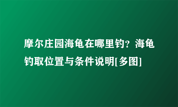 摩尔庄园海龟在哪里钓？海龟钓取位置与条件说明[多图]