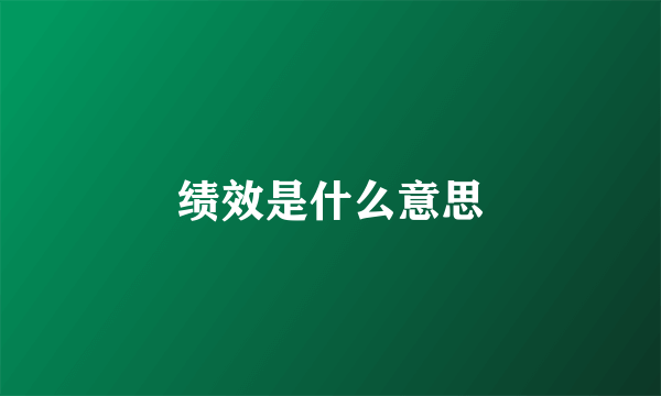 绩效是什么意思