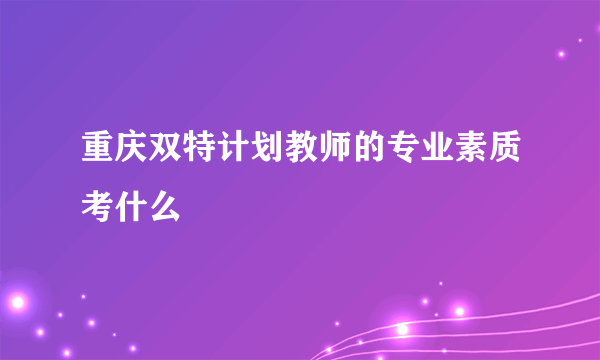 重庆双特计划教师的专业素质考什么