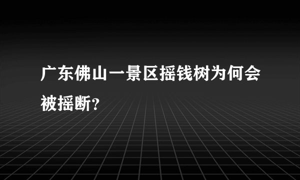 广东佛山一景区摇钱树为何会被摇断？