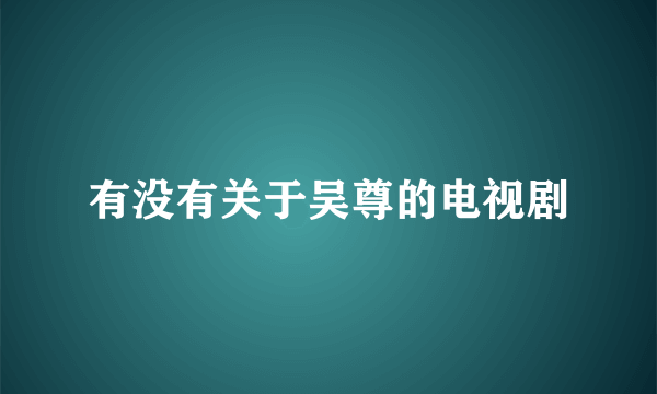 有没有关于吴尊的电视剧