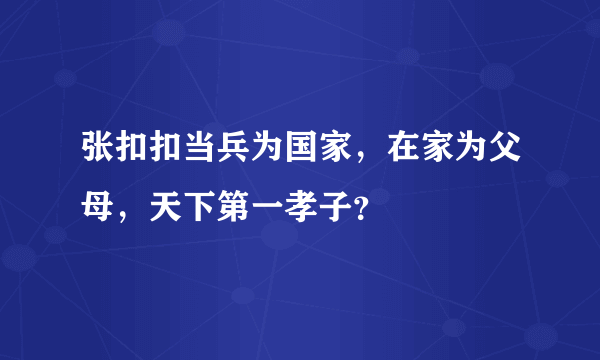 张扣扣当兵为国家，在家为父母，天下第一孝子？