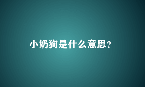 小奶狗是什么意思？