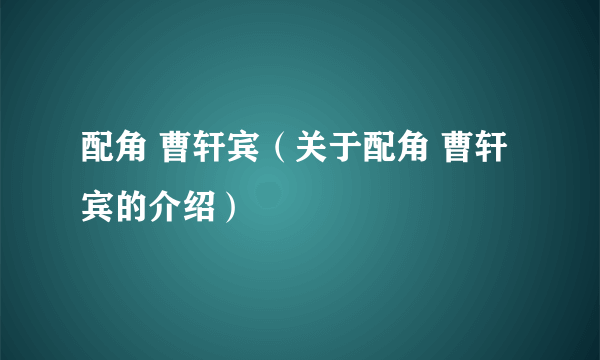 配角 曹轩宾（关于配角 曹轩宾的介绍）