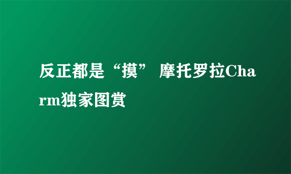 反正都是“摸” 摩托罗拉Charm独家图赏