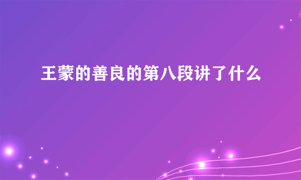 王蒙的善良的第八段讲了什么