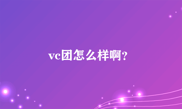 vc团怎么样啊？