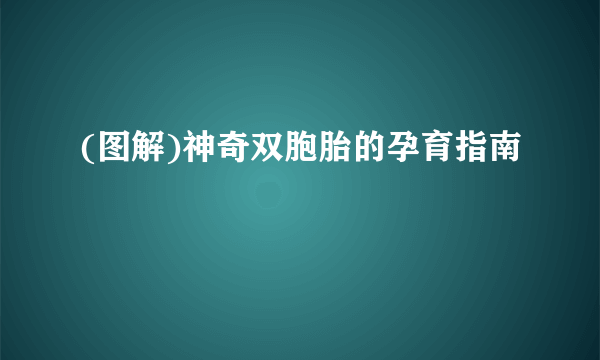 (图解)神奇双胞胎的孕育指南