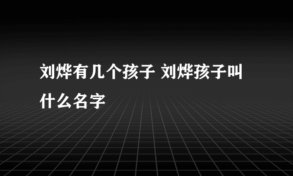 刘烨有几个孩子 刘烨孩子叫什么名字