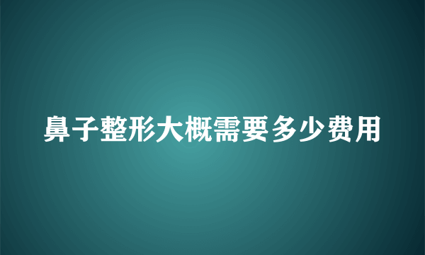 鼻子整形大概需要多少费用