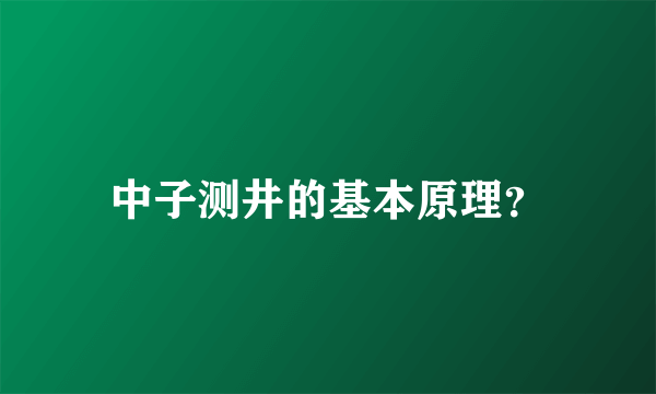 中子测井的基本原理？