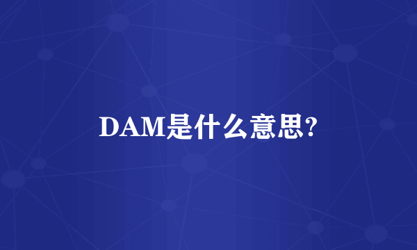 DAM是什么意思?