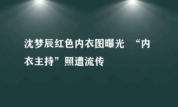 沈梦辰红色内衣图曝光  “内衣主持”照遭流传