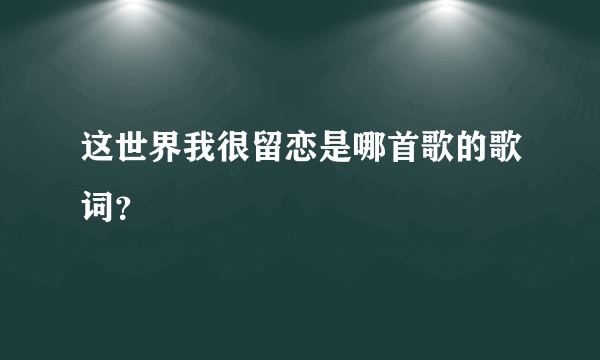 这世界我很留恋是哪首歌的歌词？