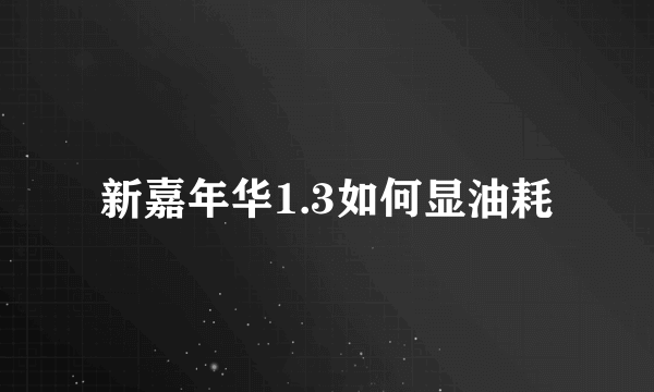 新嘉年华1.3如何显油耗