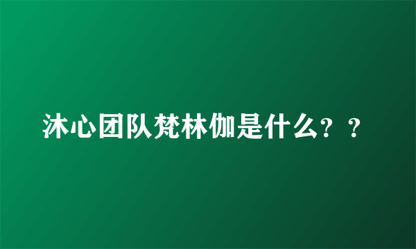 沐心团队梵林伽是什么？？