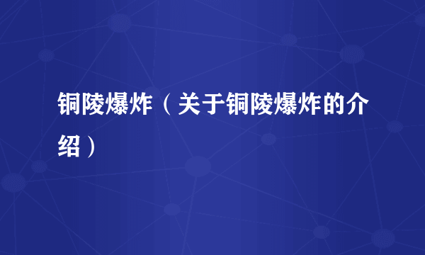 铜陵爆炸（关于铜陵爆炸的介绍）