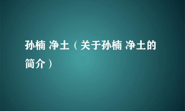 孙楠 净土（关于孙楠 净土的简介）